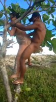 El vecino la singa arriba de un árbol