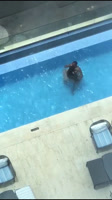 Video Porno de Manyara Singando en la piscina del Hotel