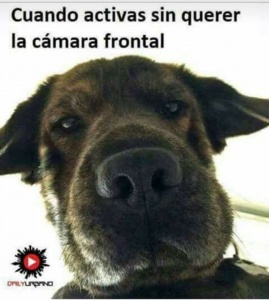 Imagen del canal porno